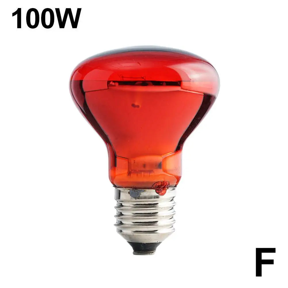 E27 Reptile Bulb Heating Night Light Daylight UVA 55g Ceramic Heating Lamp Simulates UVA In Natural Sunlight Meet Lighting Needs