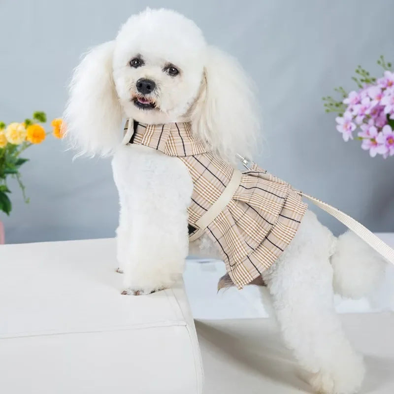2023New Dog Harness Elegant Comfortable Breathable Pet Dress Collar For Small Dogs Fashion Lovers Vest Dog Harness and Leash Set