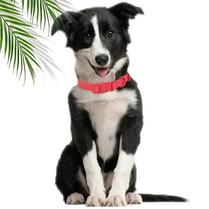 New Macaron Colored PVC Dog Collar Waterproof Dirt Resistant Easy To Clean Pet Collar Adjustable Neck Collar Pet Dog Collar Set