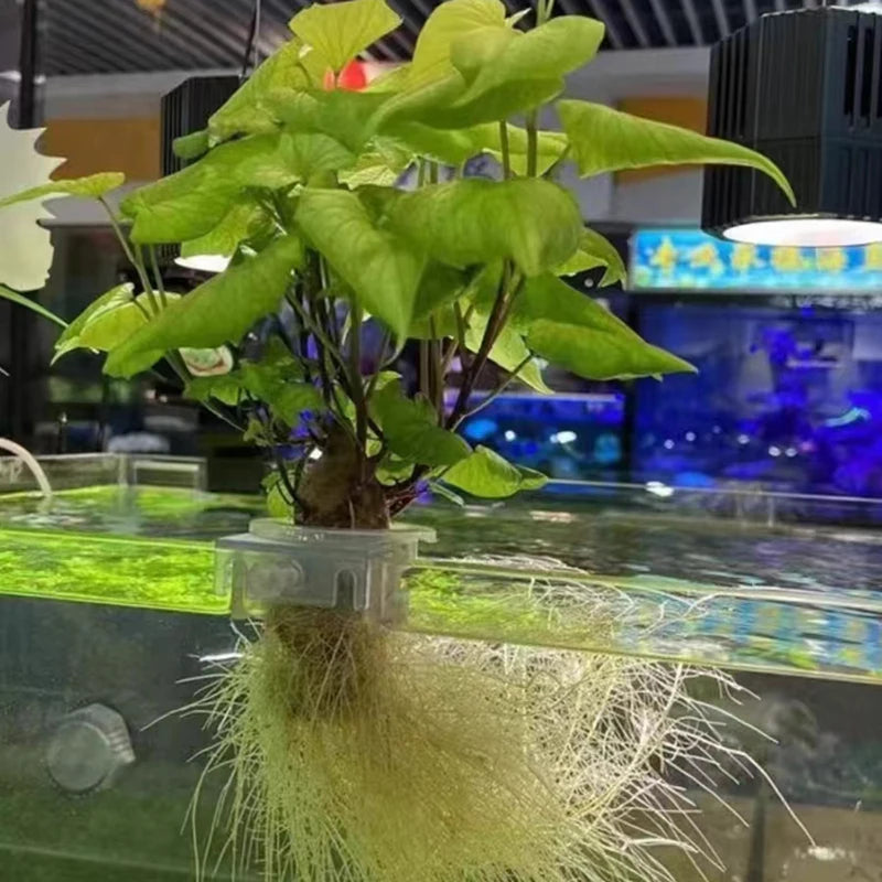 Aquarium Planting Basket Hydroponic Support Hangable Fish Tank Water Grass Cup Aquatic Plant Holder Wall Hanging Flower Pots New