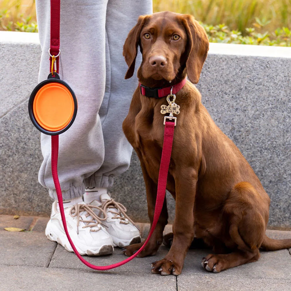 Collapsible Dog Bowls Portable Travel Dog Bowls Expandable for Cat Dog Water Bowl Food Feeding Dish Silicone Pet Bowl 350/1000ml