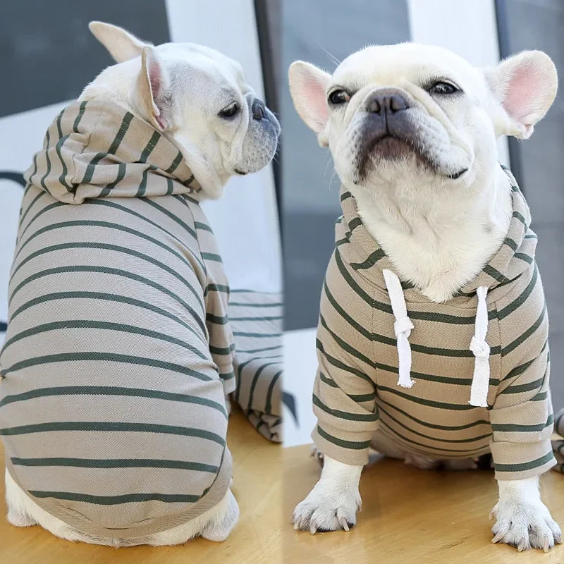 2023New Spring Summer Dog Hoodies Puppy Small Dog Costume Shirt Yorkshire Terrier Pomeranian Bichon Poodle maltese Clothing Coat