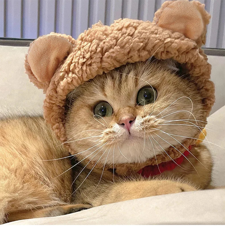 Pet Halloween Dog Costume Cute Bear Headdress Dog Costumes for Small Dogs Cosplay Beer Hat Pet Supplies
