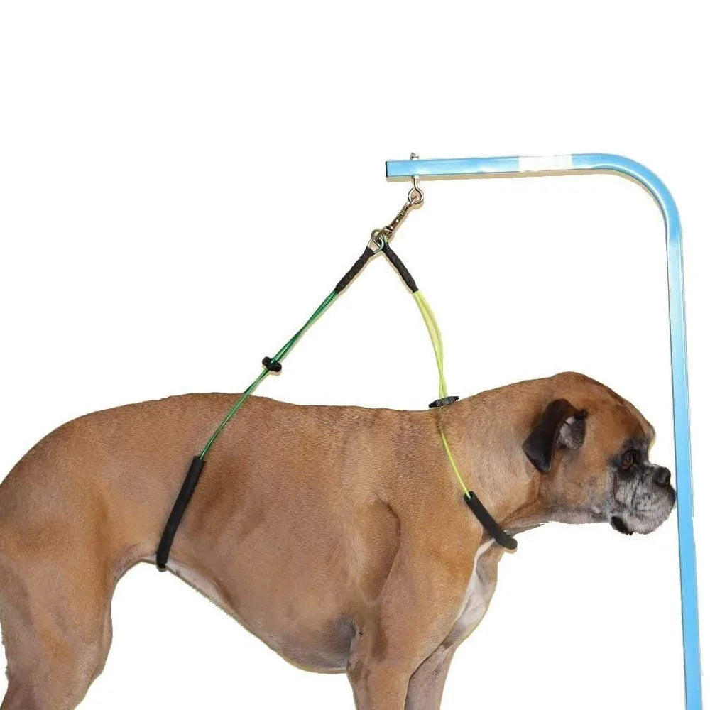 Dog Grooming Loop Noose Wash Choker for Pet Bathing and Grooming Durable Steel No Sit Haunch Holder Grooming Restraint for Dogs