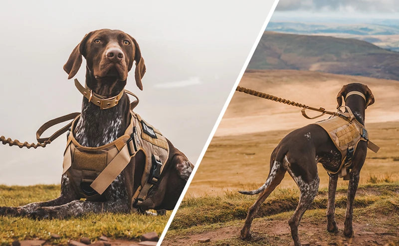K9 Tactical Military Vest Pet German Shepherd Golden Retriever Tactical Training Dog Harness and Leash Set For All Breeds Dogs