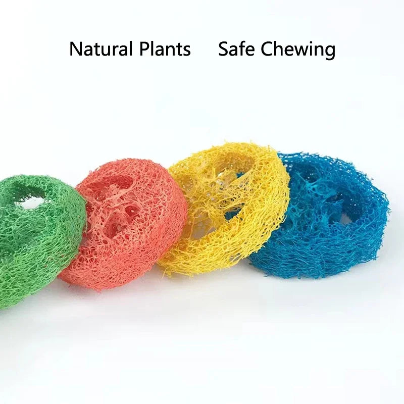 10/20Pcs Natural Loofah Slice Tooth Grinding Cleaning Chew Toy Small Pets Toys For Hamster Rabbit Grinding Products High Fiber