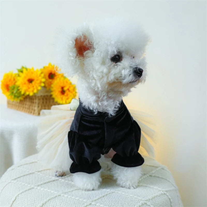 Sweet Princess Female Puppy Summer Clothes Wedding Party Dress for Dogs White Lace French Bulldog Small Medium Pet Cat Clothing