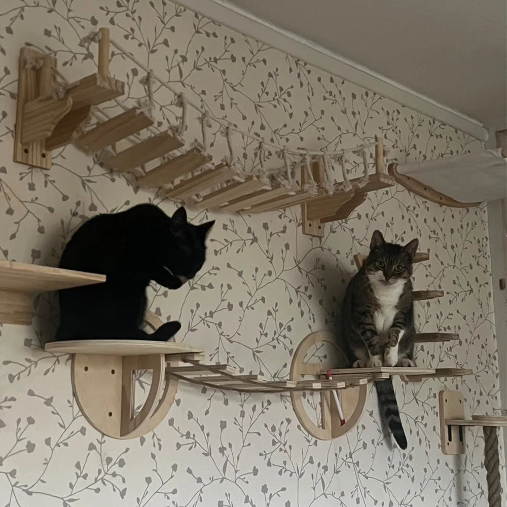 Cat Mounted Climbing Wall Cat Hammock & Cat Climbing Ladder Cat House Cat Shelf Sisal Nest for Kitten Playing & Rest Pet Toys