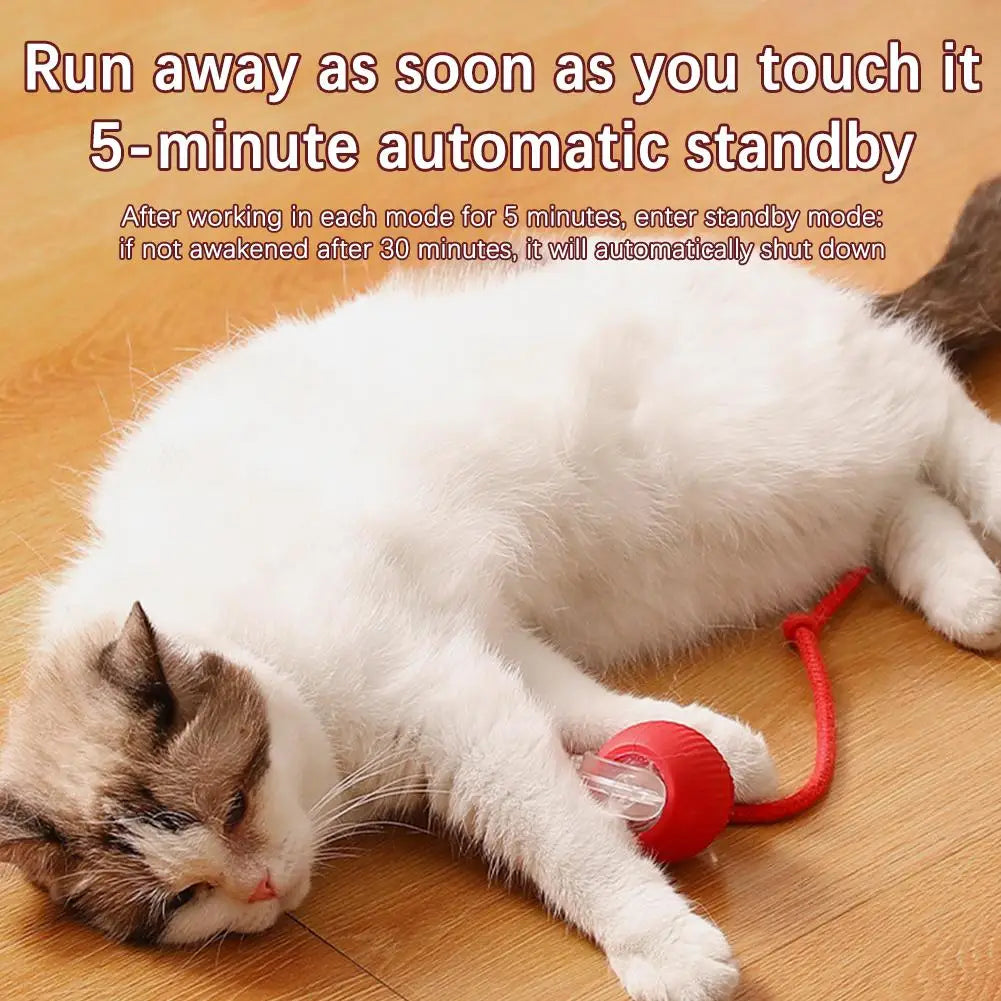 New High-end Cat Rolling Ball Interactive Cat Toy Motion Tail Bird With Teaser Game Pet Chirping Long Toy Kitten Sensor Cat