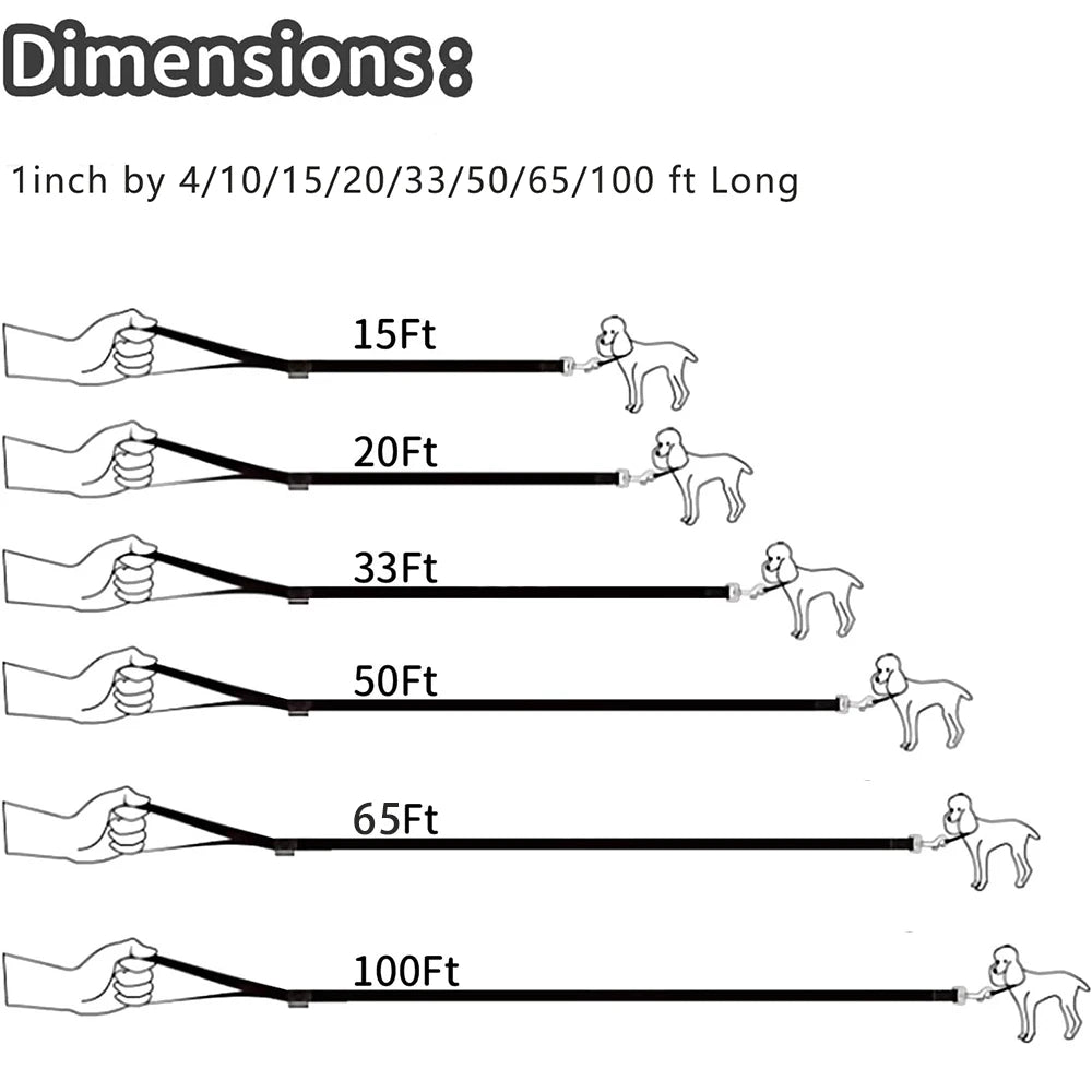 10m 15m 20m 30m Long Nylon Pet Dog Leash Obedience Recall Training Lead, Small Medium Large Dog Lanyard Tracking Rope