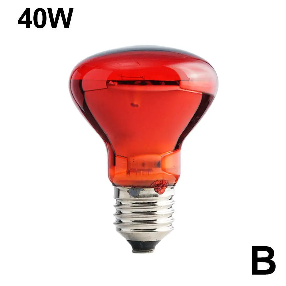 E27 Reptile Bulb Heating Night Light Daylight UVA 55g Ceramic Heating Lamp Simulates UVA In Natural Sunlight Meet Lighting Needs