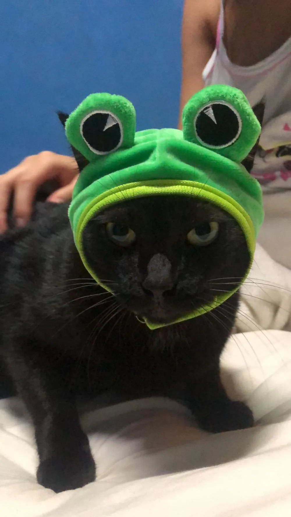 Cute Pet Hat Small Dog Cat Hat Easter Bunny Hat Crab Lobster Frog Cap Pet Party Costume Accessories Headwear for Cat Kitten Pug