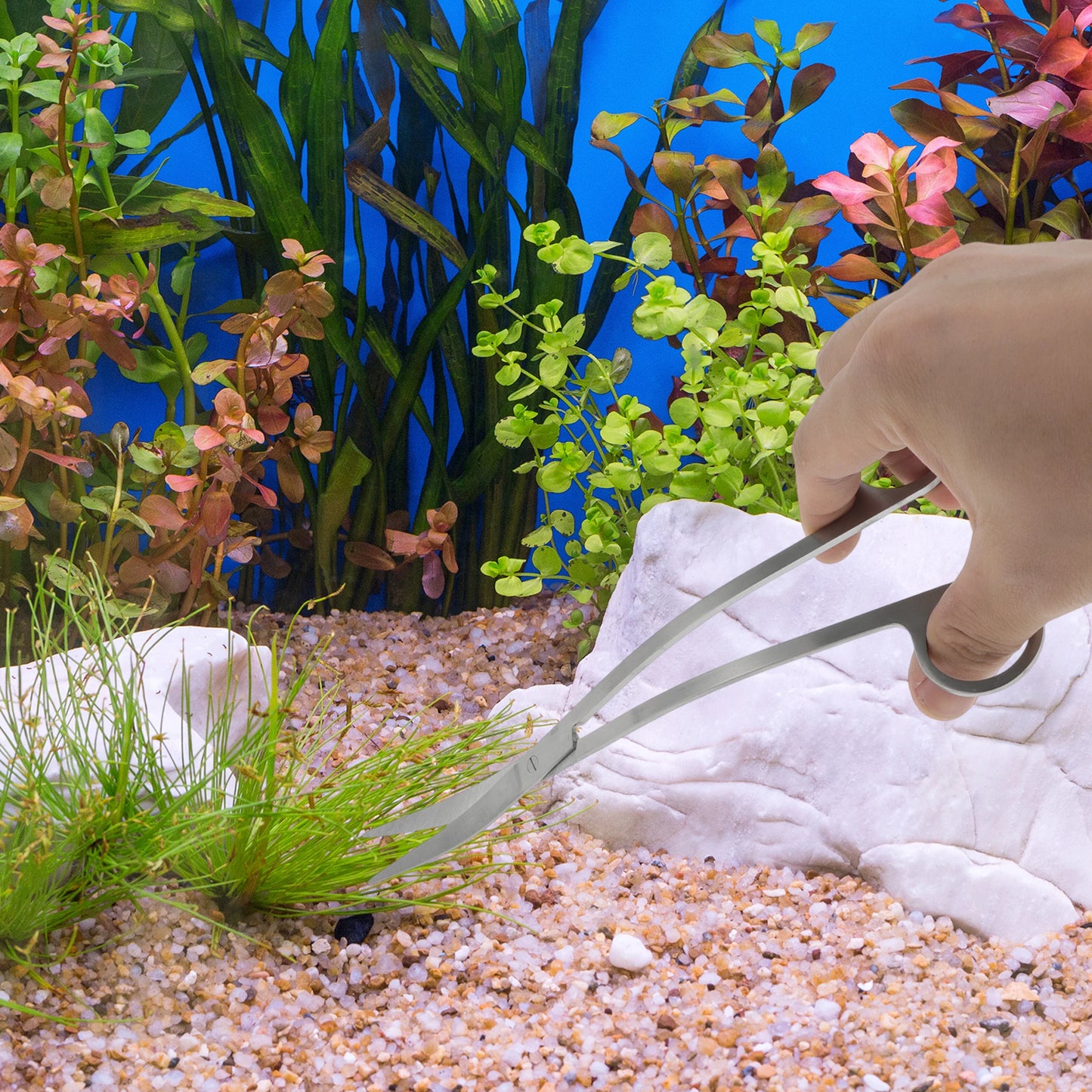 UXCELL 25cm Stainless Steel Aquarium Scissors Polished Grip Aquascapes Essential Silver Tone Aquarium Cleaning Tools