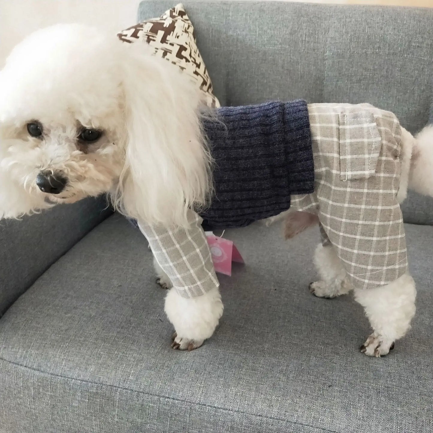 Thin Jumpsuits Dog Clothes Fake Two Piece Suit Spring Autumn Sportswear Knitted Sweater Vest & Shirt Fake Two-piecs Suit