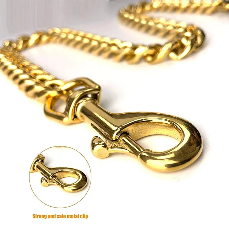 Stainless Steel Pet Gold Chain, Dog Leashes, Leather Handle, Portable Leash Rope, Straps, Puppy, Cat Training, Slip Collar Suppl