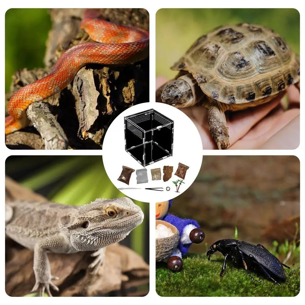Terrarium For Reptile Snail Arcylic Breeding Box Wolf Spider Jumping Spider Snail Scorpion Durable Invertebrate Breeding Box