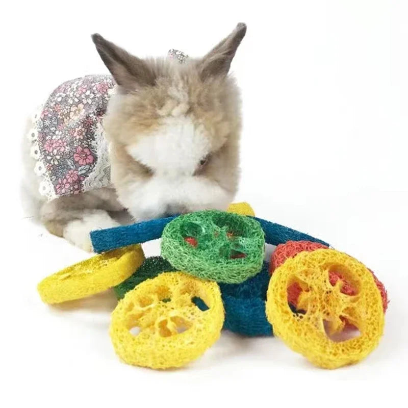 10/20Pcs Natural Loofah Slice Tooth Grinding Cleaning Chew Toy Small Pets Toys For Hamster Rabbit Grinding Products High Fiber
