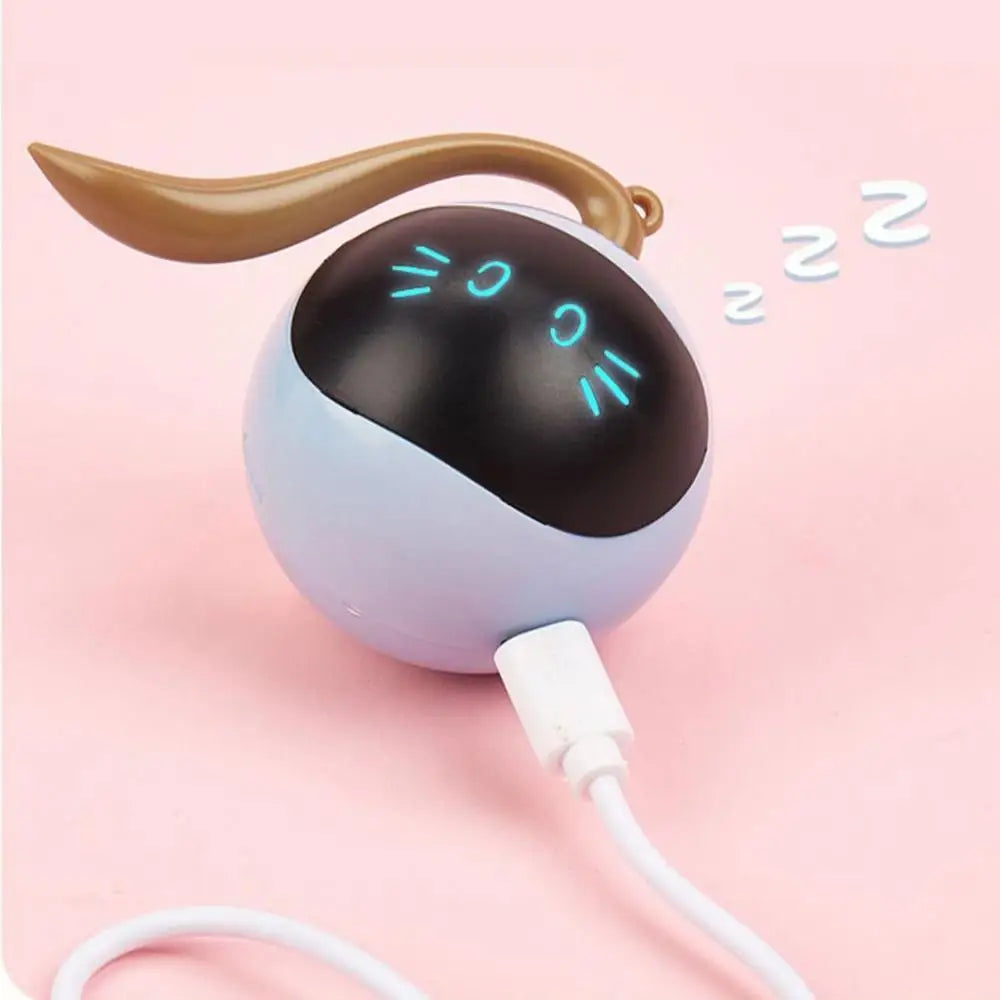 2 in 1 Self Rotating Ball Cat Toy Smart Interactive Cat Toy USB Rechargeable Wicked Ball 360 Degree Automatic Cat Moving Rolling