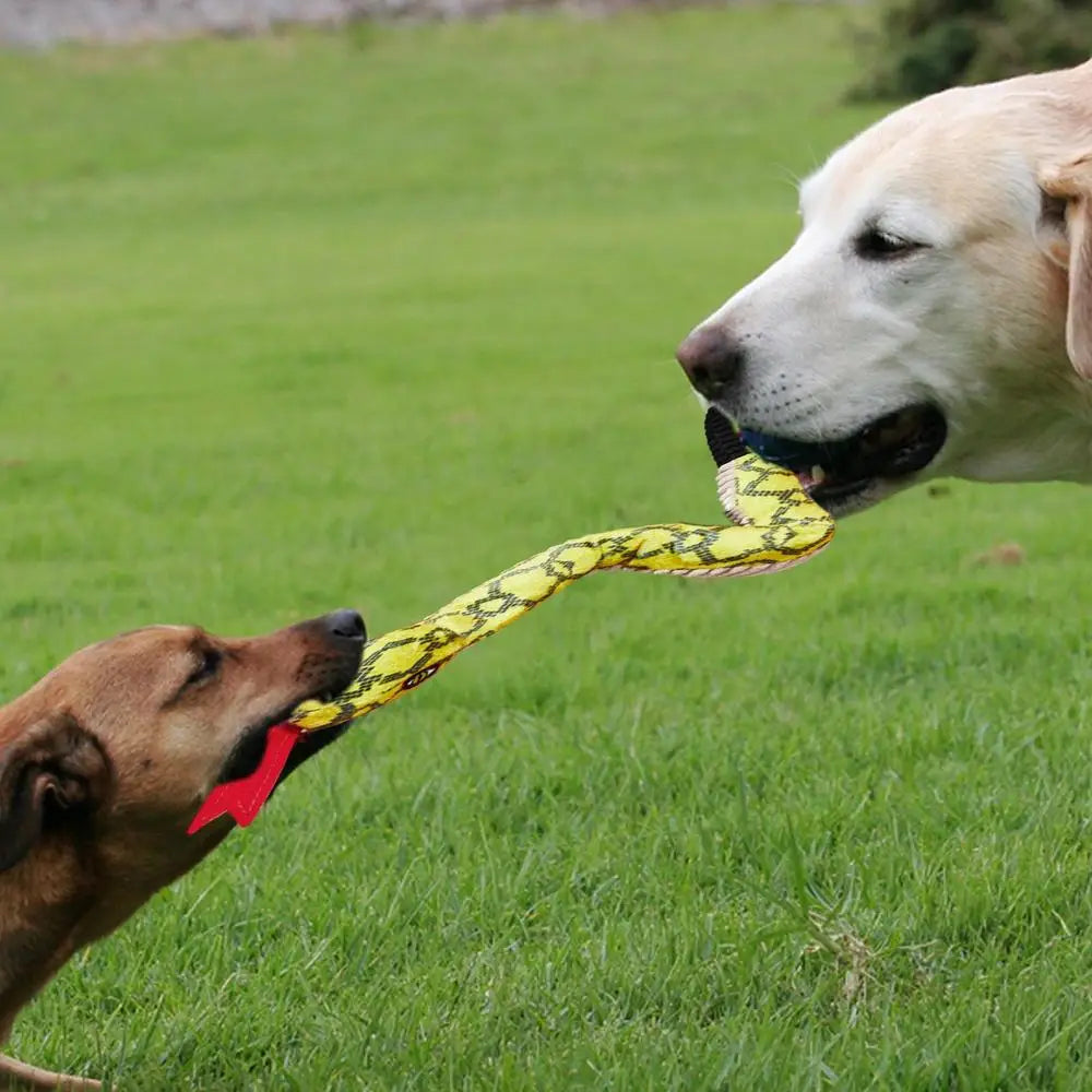 Squeaky Snake Dog Toy Plush Cute Dog Chewing Toy Stuffed Animal Bite-resistant Sounding Paper Animals Chew Toy For Puppy Dogs