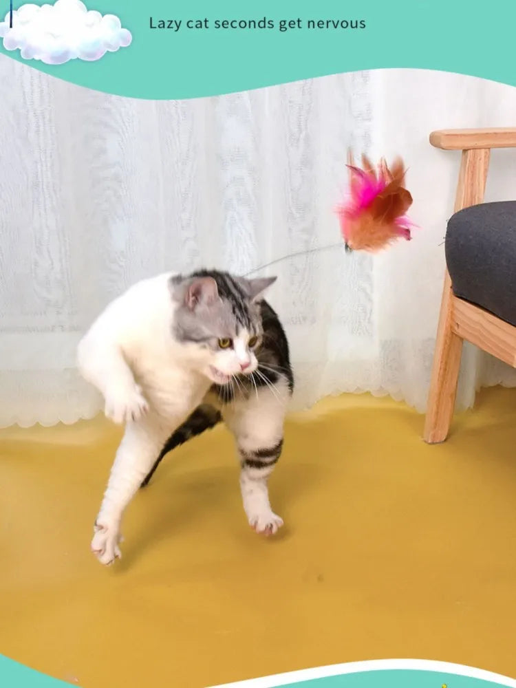 Interactive Cat Toys Funny Feather Teaser Stick with Bell Pets Collar Kitten Playing Teaser Wand Training Toys for Cats Supplies