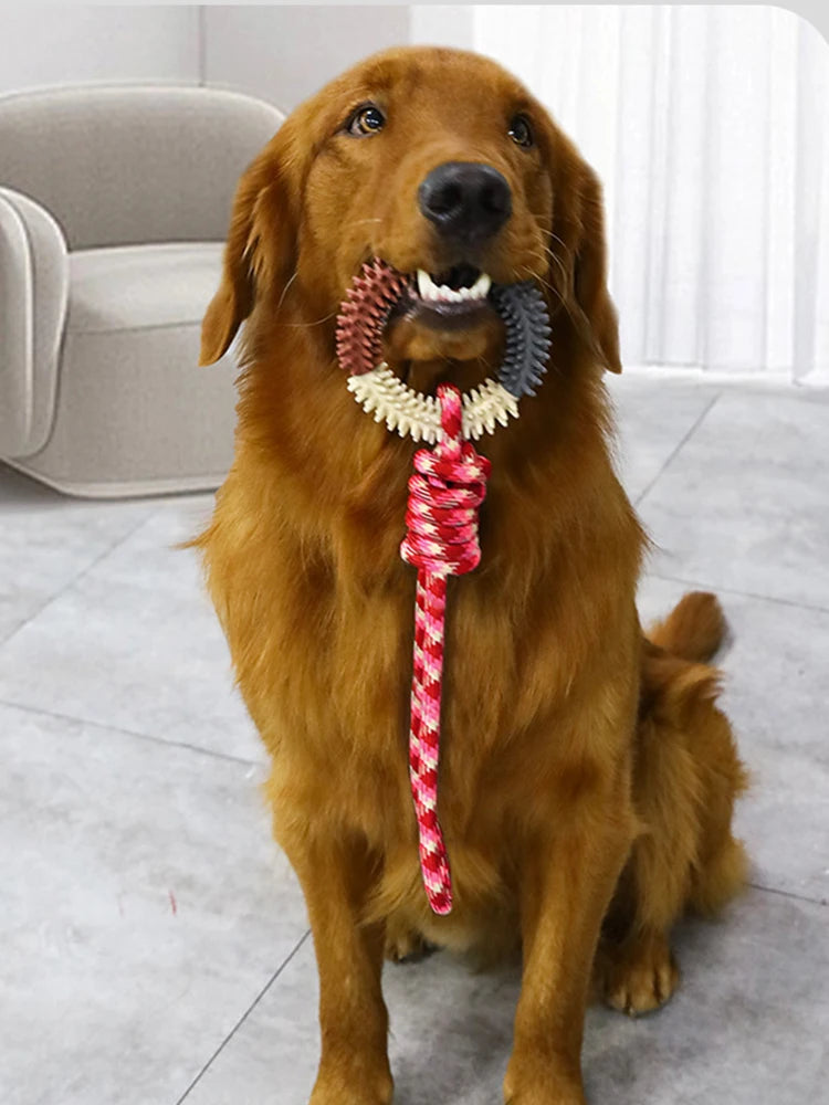 Interactive Training Dog Toys for Small Medium Dogs Rubber Spiked Ring with Rope Chewing Toys Dog Teeth Cleaning Pet Supplies