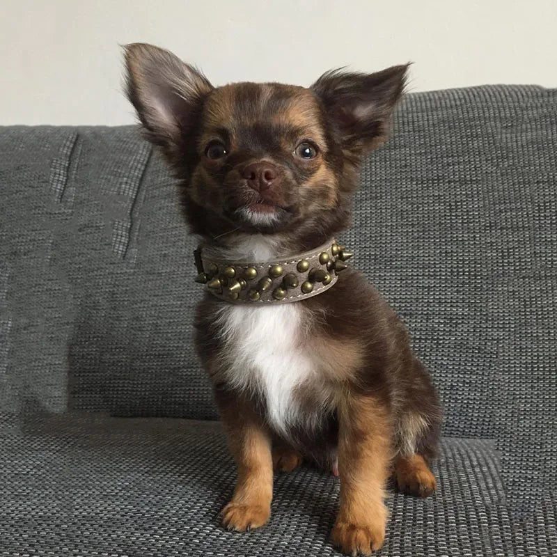 Bronze Spiked Studded Leather Dog Collars For Small Medium Large Dogs Pet Spike Collar Rivets Anti-Bite Pet Products Neck Strap