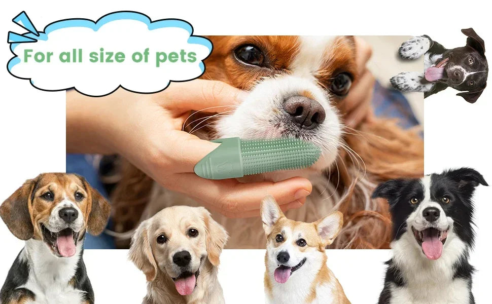 360° Cleaning Finger Toothbrush for Dogs, Food Grade Silicone Dog Finger Toothbrush, Toothbrush for Dogs Cats Dental Care