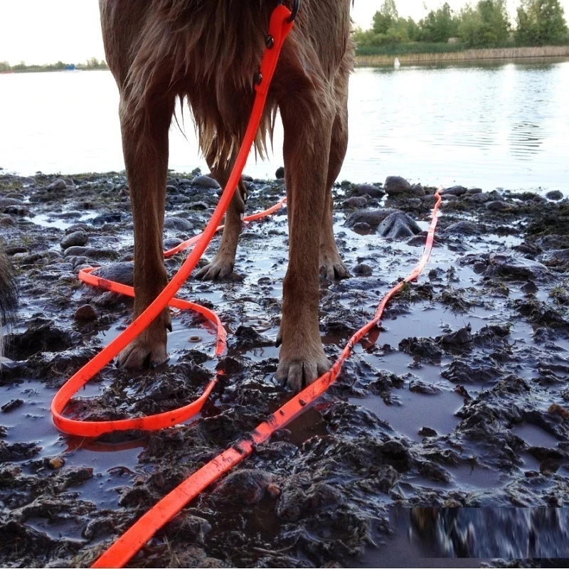 5m10m Waterproof Dog Leash Long Pvc Pet Leashes Easy To Clean Rope for Small Medium Large Big Dogs Walking Traning Lead