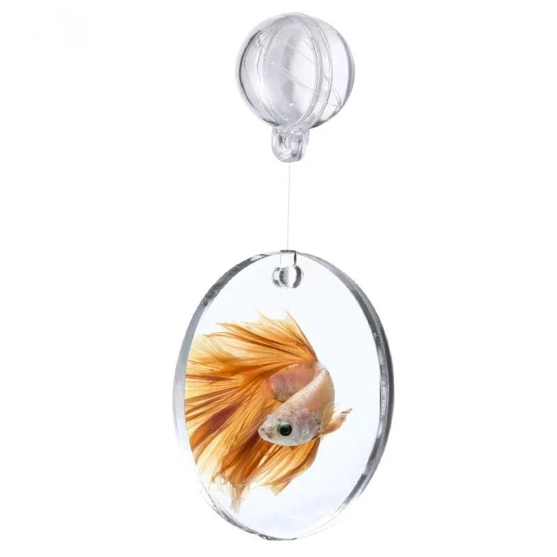 Acrylic Aquarium Betta Mirror Fish Tank Floating Round Mirror For Fish Betta Flowerhorn Cichlid Training 4cm/5cm/6cm/7cm/8cm/9cm