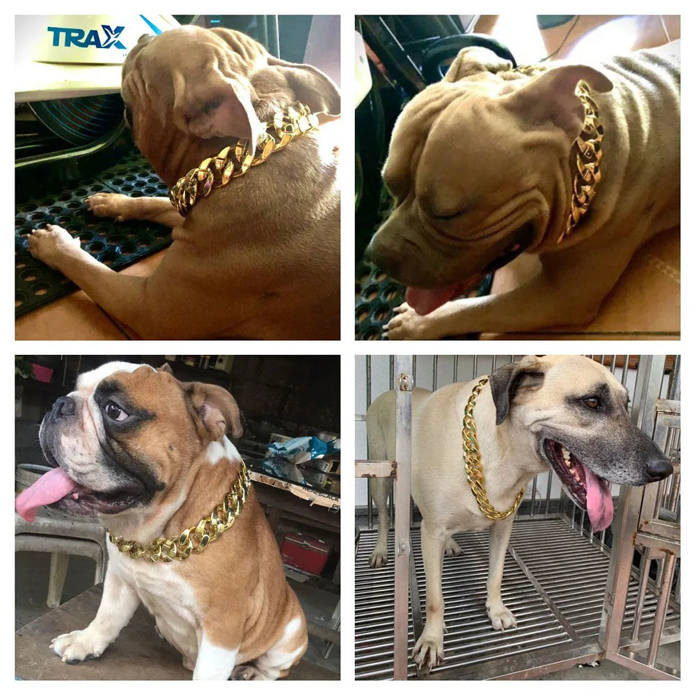 Gold Pet Cat Dog Collar Adjustable Light Plastic Small Dog Cuban Link Collar for Bulldog Puppy Necklace Pet Apparel Accessories