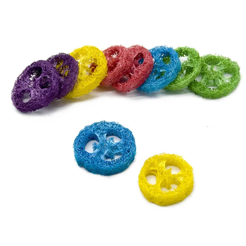 10/20Pcs Natural Loofah Slice Tooth Grinding Cleaning Chew Toy Small Pets Toys For Hamster Rabbit Grinding Products High Fiber