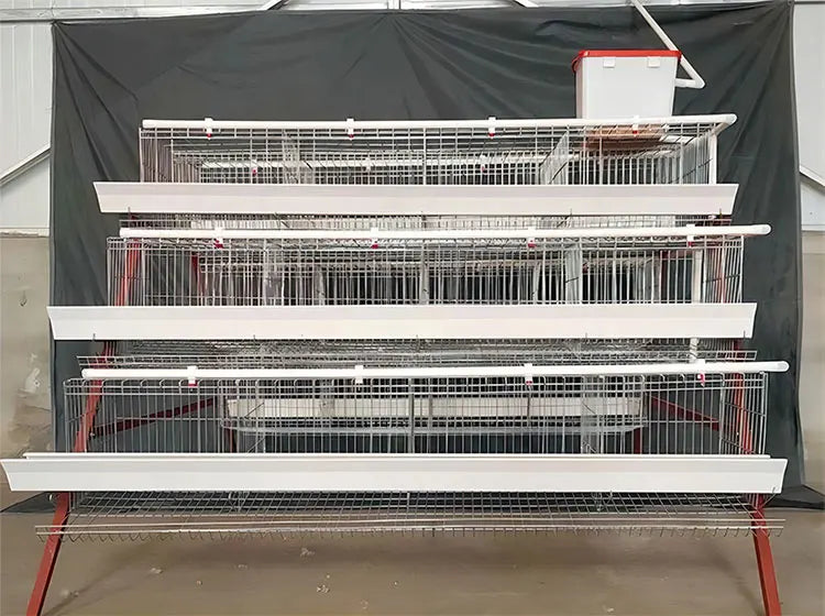 H Type Layer Chicken Cage,Fully Automated Battery Cage Systems, Automated Egg Picking Systems, Customized Purchase on Demand