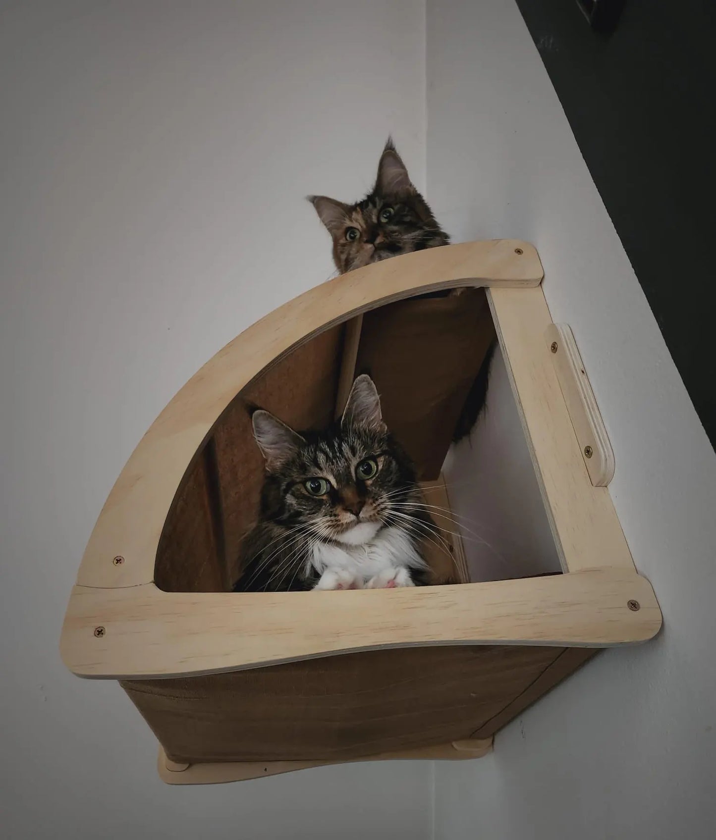 Cat Climbing Shelves Wall Mounted Cat Bridge And Cat House Wooden Pet Shelves Tree Tower For Sleeping Climbing Cat Perch Tree