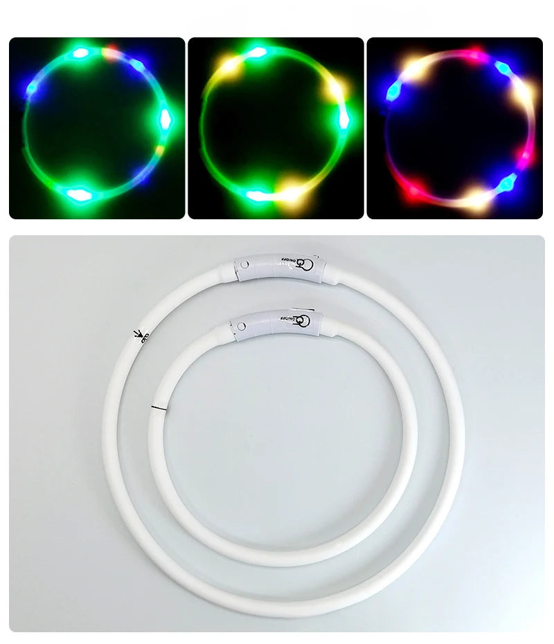 4 Modes Dog Luminou Charge Collar Led Usb Cat Silicone Colorful Collar Detachable Night Glow Pet Loss Prevention Dog Accessories
