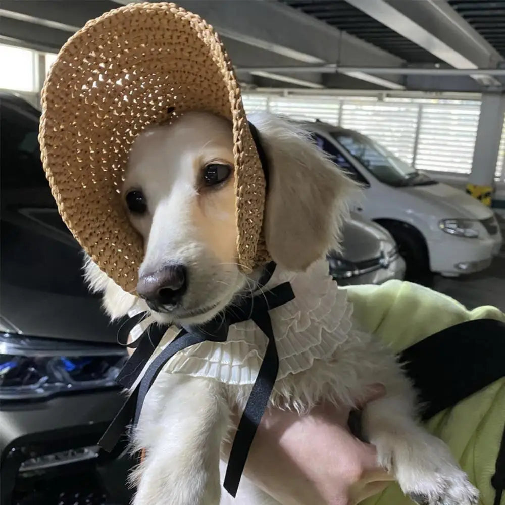 Dog Sombrero Hat Cat Sun Hat Dog Summer Hat Small Dog Sun Hat Dog Sun Caps Cat Sombrero Straw Hat for Puppy Small Dogs