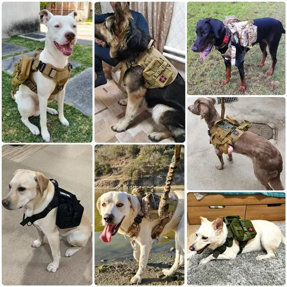 Tactical Training Large Dog Harness Collar Leash Molle Pouches Military Service Dog Vest Heavy Duty Dog Harness for Medium Dogs
