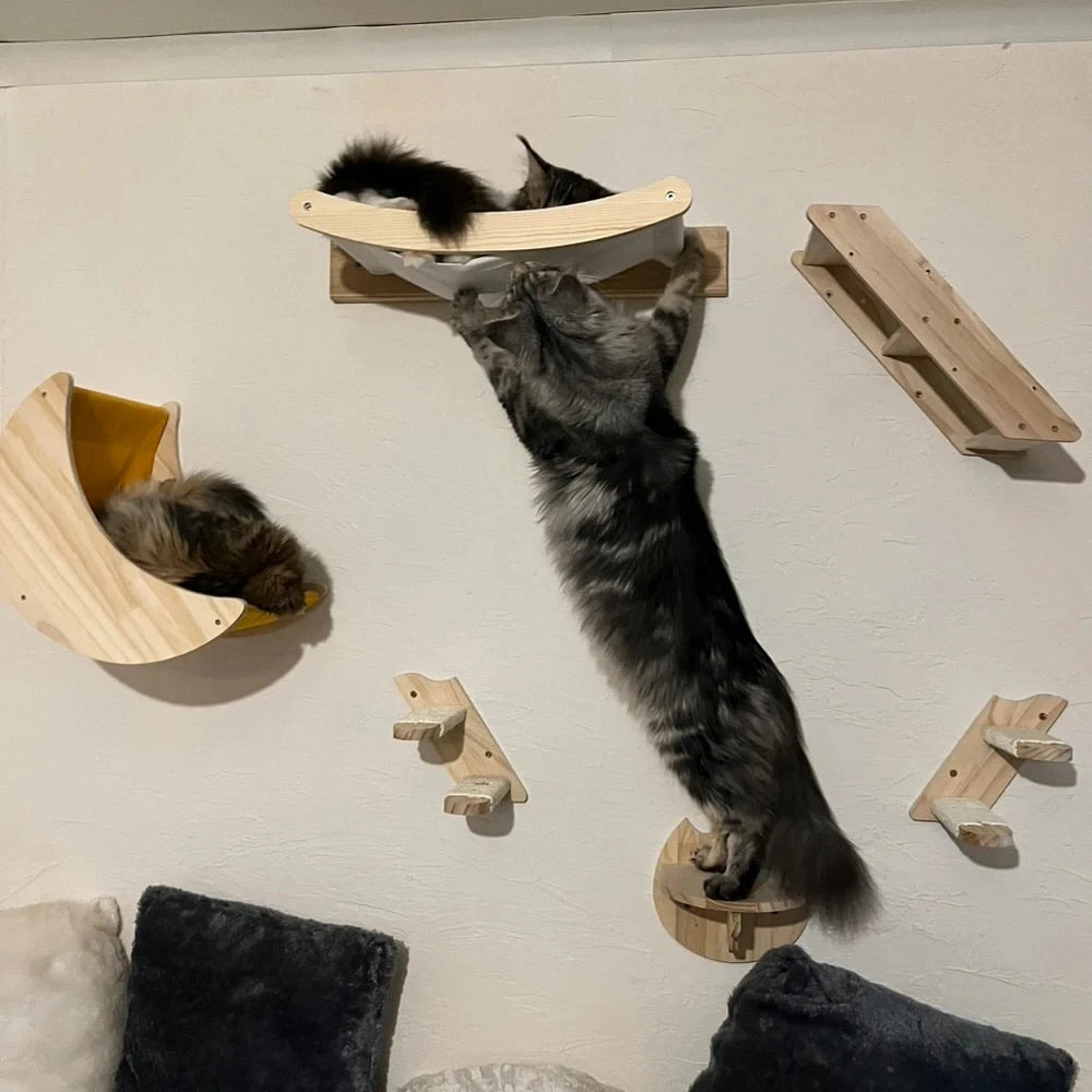 Cat Climbing Shelf Furniture Wall Mounted Cat Hammock and Wooden Stairway with Scratching Post for Cats Indoor Playing and Rest