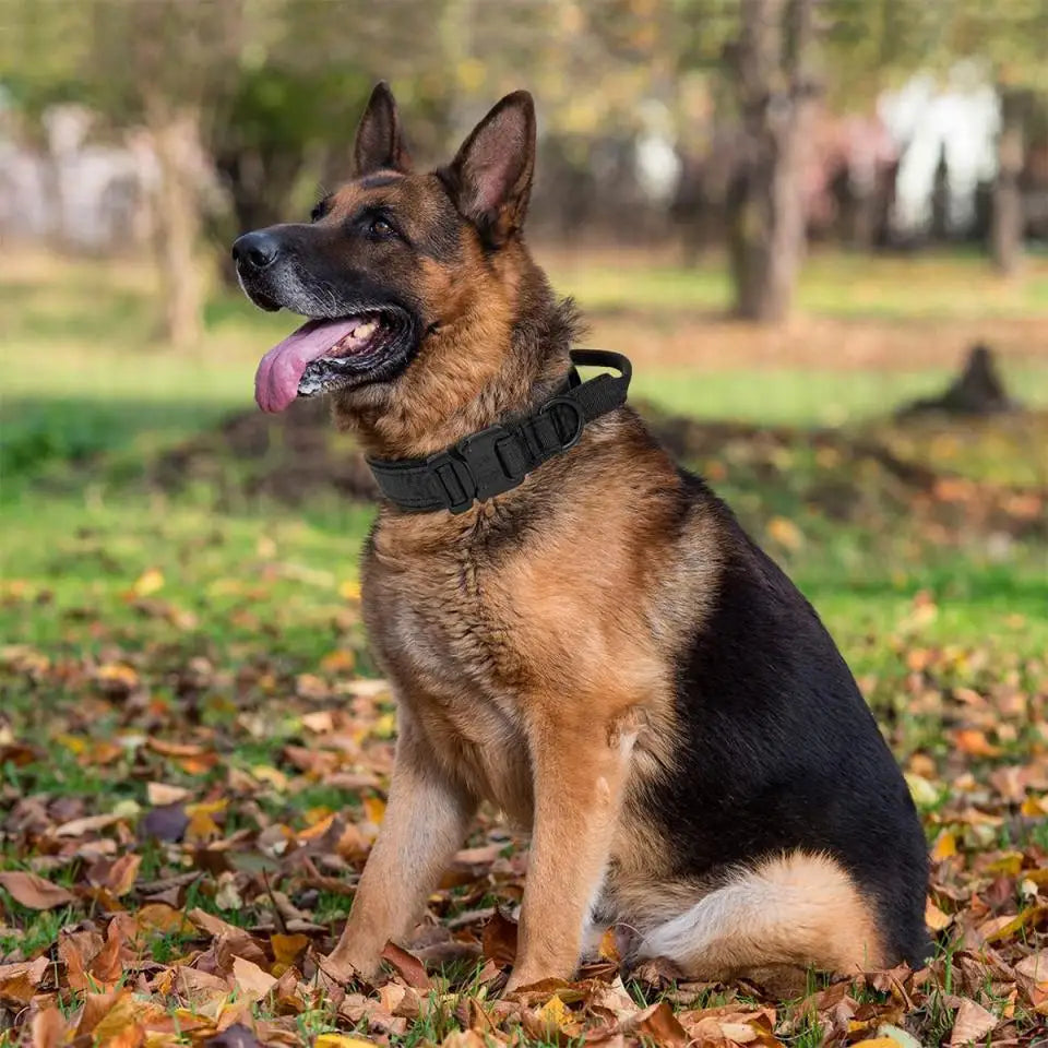 Durable Military Tactical Dog Collar Bungee Leash Nylon Walking Training Pet Collar for Medium Large Dogs German Shepherd