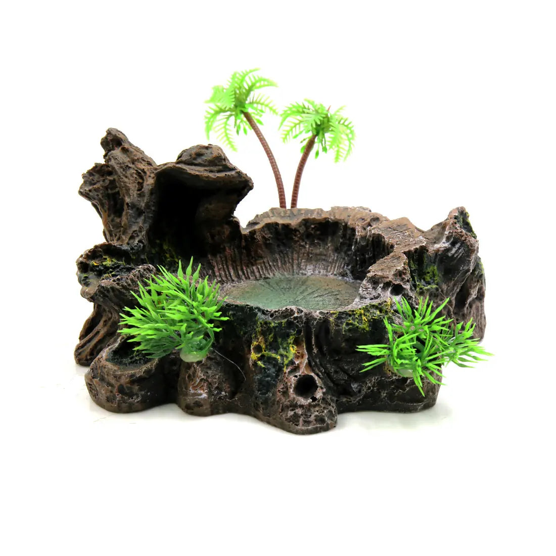 UXCELL Reptile Pet Bowls Feeding Tools Worm Dish Cereus Food Feeder Water Dish Resin Bowl Frog Gecko Spiders Turtles Reptile