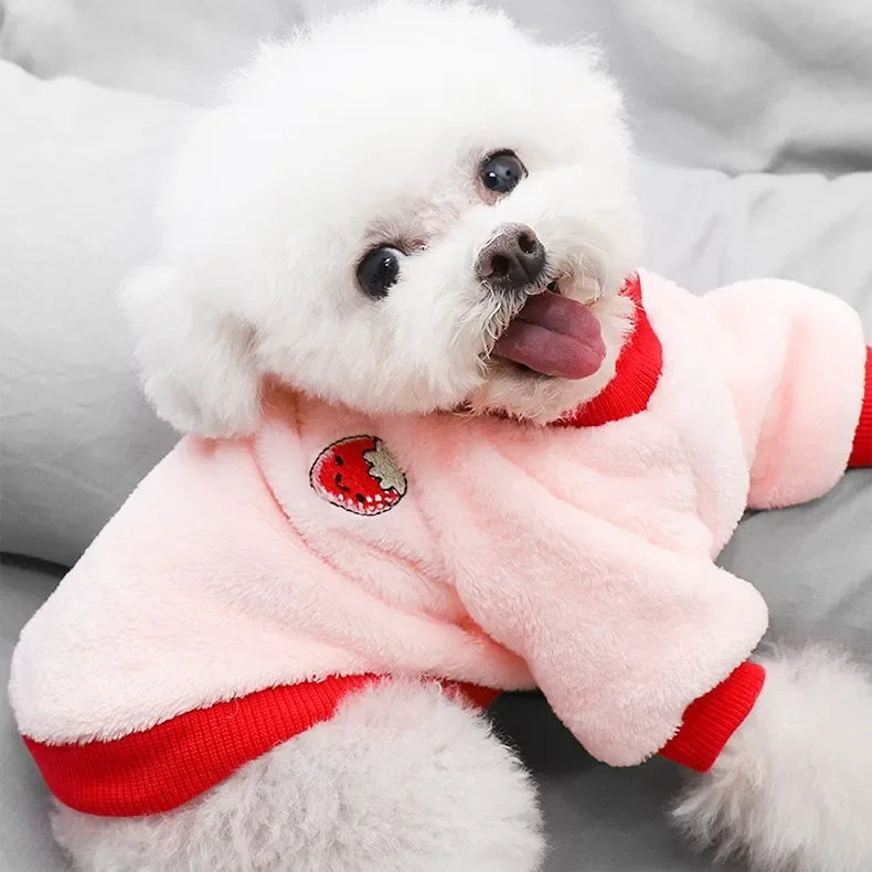Pet Dog Clothes Warm Fleece Cute Fruit Print Coat Small Medium Cat Shirt Jacket Autumn Puppy Sweater Hoodie Chihuahua Yorkies