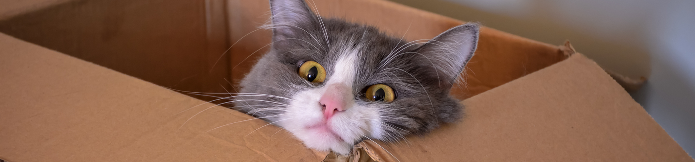 Crates, Gates, & Containment