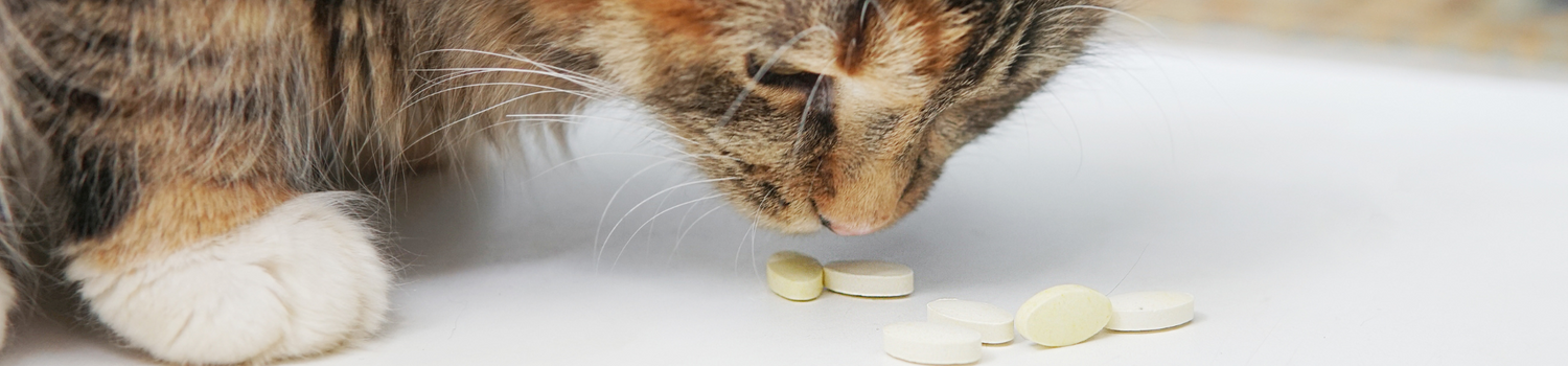 Vitamins & Supplements