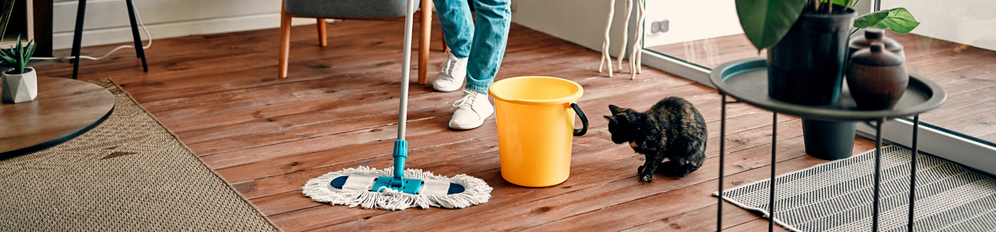 Cleaning & Repellants