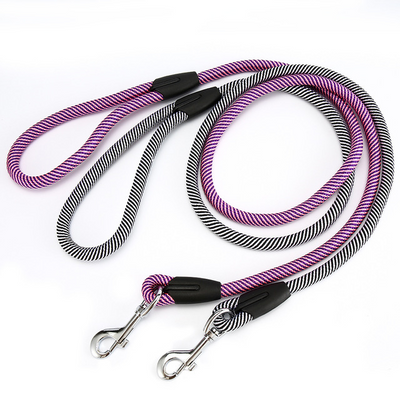 Spiral Dog Leash