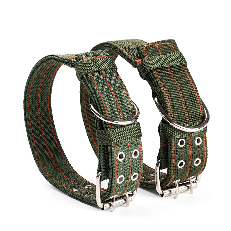Canvas Dog collar