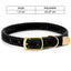 Luxury Cat Collar