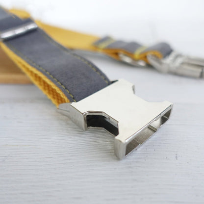 Stylish Dog Collar