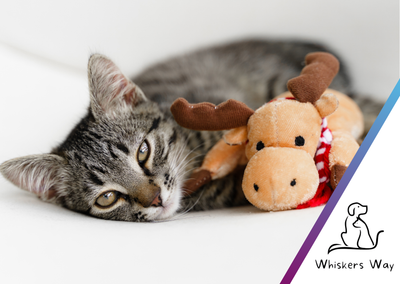 Whiskers Way eGift Cards