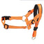 PupGuard™ | Secure & Comfortable Dog Halter for Walking and Training