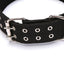 Canvas Dog collar